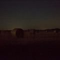 in hay on night.jpg