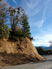 Sequoia 2010-6