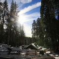 Sequoia 2010-20.jpg