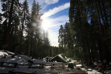 Sequoia 2010-20