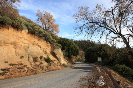Sequoia 2010-22